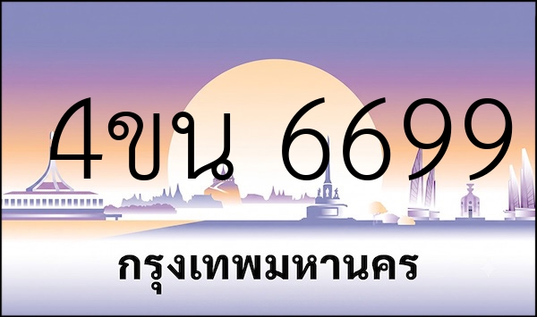 4ขน 6699
